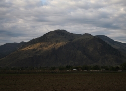 cawston1