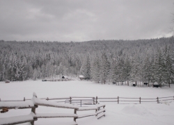 sicamous