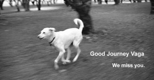 Good Journey Vaga