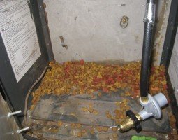 How to Get Rid of Mice in Your Truck
