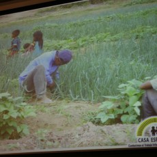 Against Child Labor