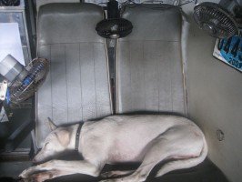 How to survive the heat and humidity