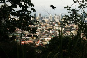 Renew Vehicle Papers in Panama City