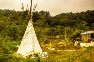 Volunteer at this farm!