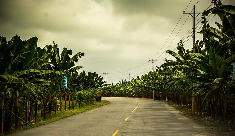 A hundred km along roads like this