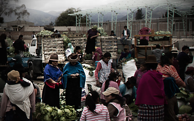 Wholesale vegetables in the Andes.